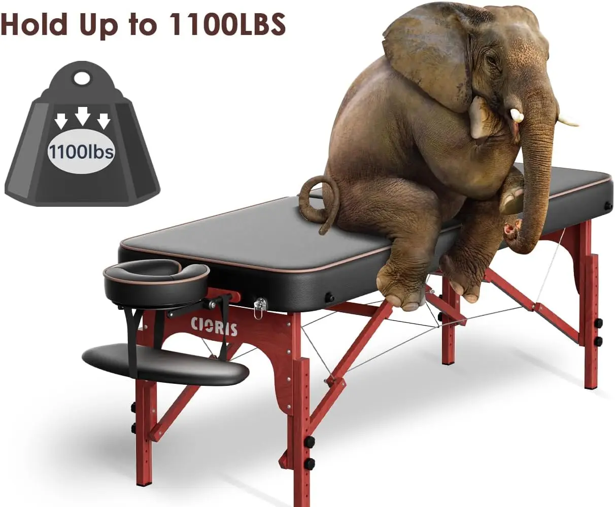 Table de Énergie Professionnelle Portable, Pieds en Bois Renforcé, Supporte jusqu'à 1100LBS, 2 Pliables, Légères, Spa, Salon, Tatouage, M, 84"