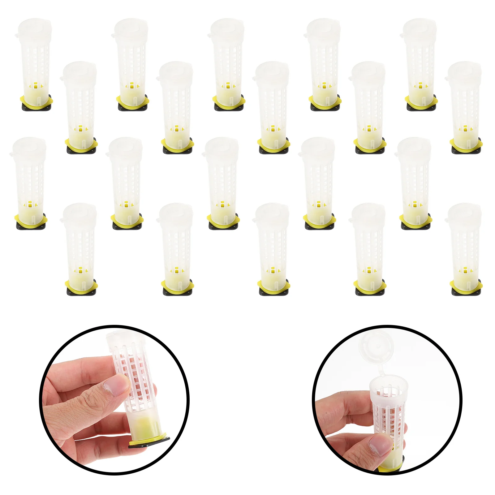 20 قطعة الغطاء الواقي لخلية الملكة البلاستيك خلية النحل حارس السلامة مكافحة العض دائم سهلة نظيفة تربية النحل أداة قفص النحل حامي