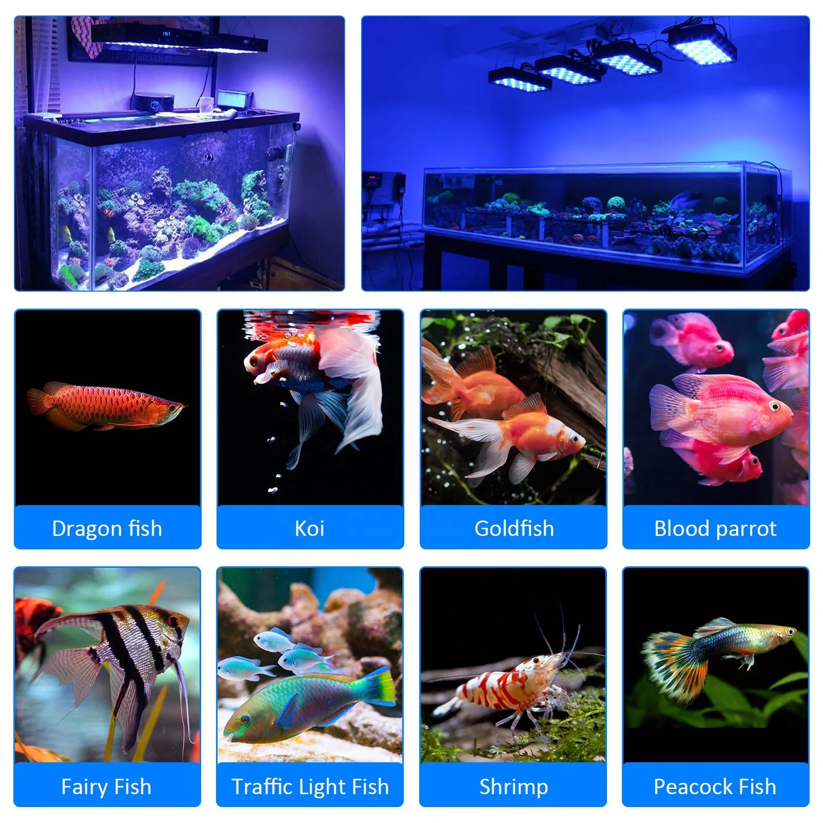 صمام ثنائي باعث للضوء لحوض السمك باهتة تغيير الطيف المرجاني الشعاب المرجانية ضوء خزان الأسماك النبات ضوء الماء المالح