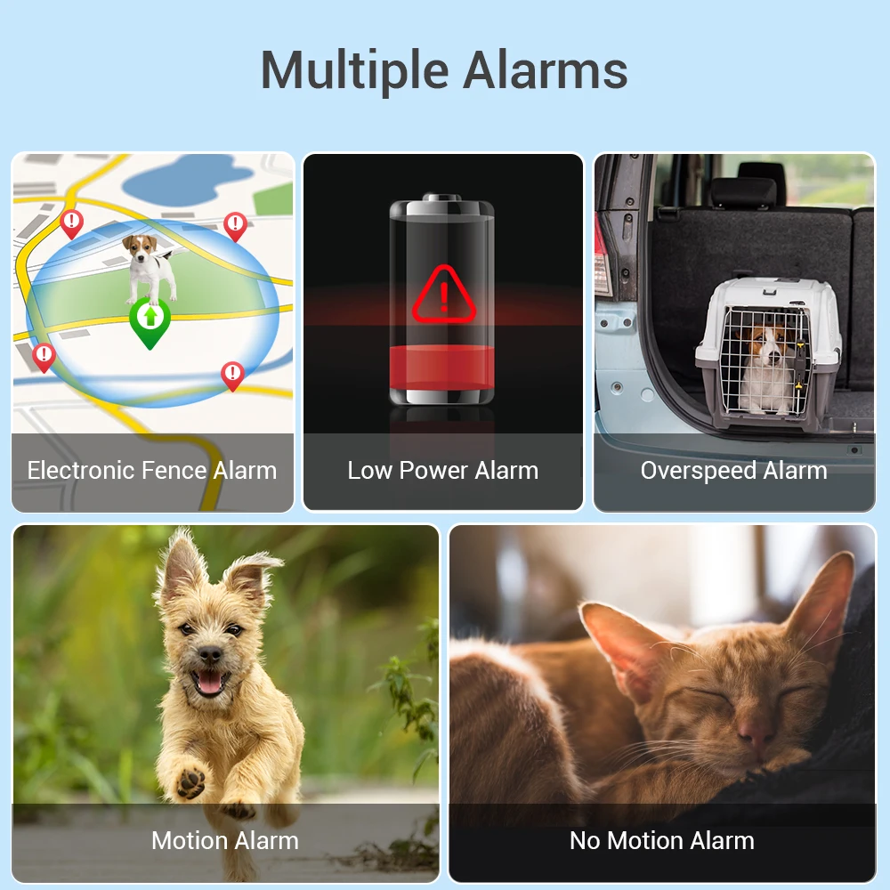 Dogs Cats GPS Tacker IP67 Waterproof Small Pet 4G Tracking Device WIFI Positioning Activity Monitoring MP80G Animals GPS Locator