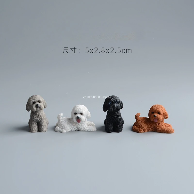 Simulation Poodle D…