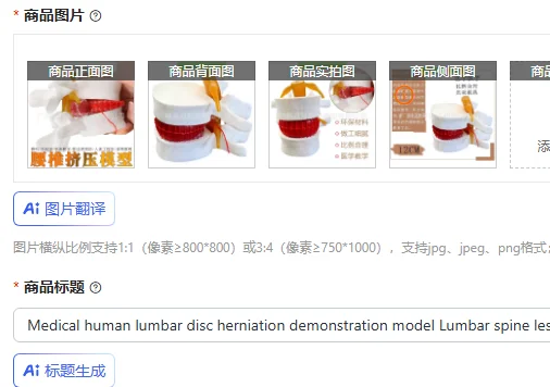 Medical human lumbar disc herniation demonstration model Lumbar spine lesion model Orthopedics Pathological lumbar herniation