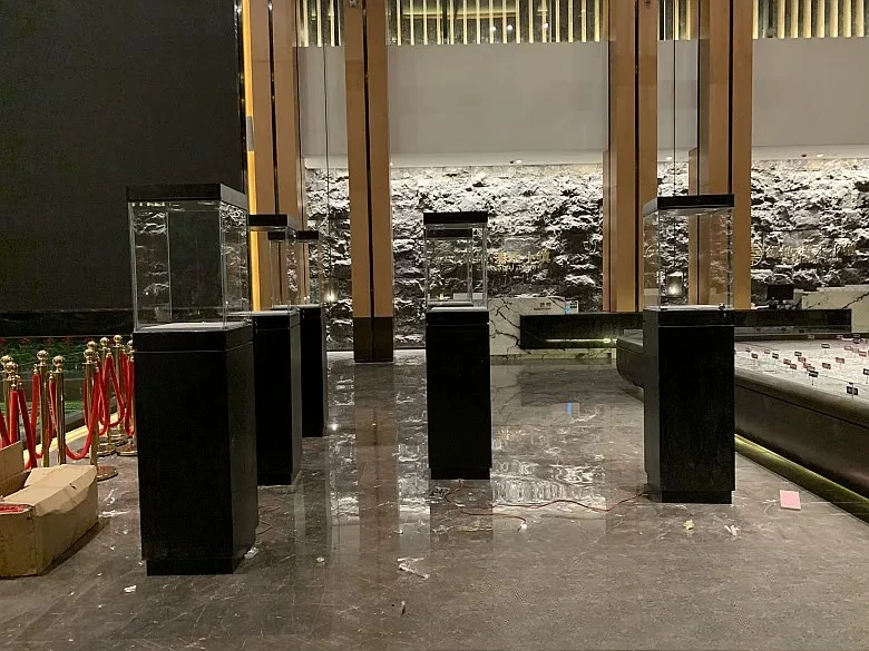 Wooden Museum Antique Display Cabinet Cultural Relics Collection Jade Porcelain Jewelry Glass Cabinet
