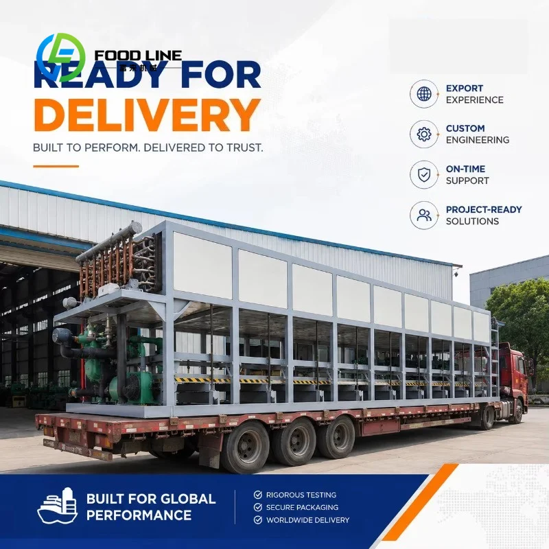Customized flake ice maker ice making equipment large industrial stainless steel for meat seafood processing factory