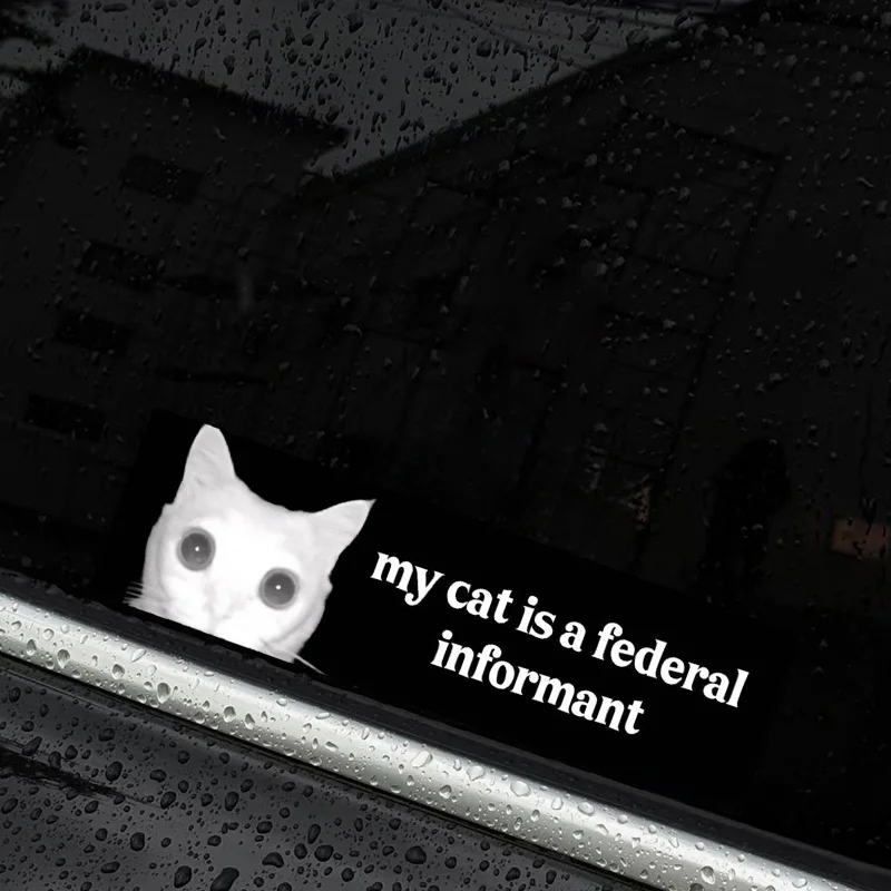 

Weatherproof vinyl, durable, long outdoor life, gift for her or him Fun "My Cat is a Federally Wanted" Insurance Sticker
