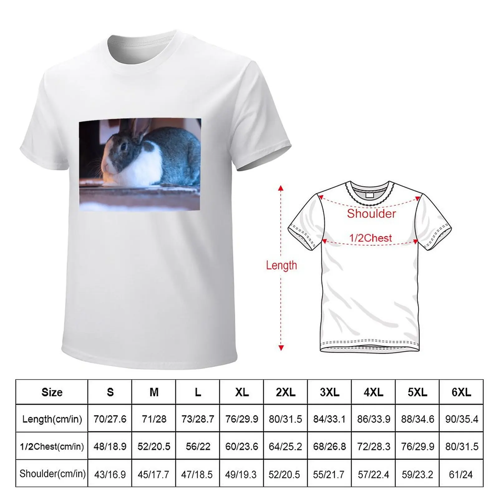 Dutch Bunny T-shirt animal prinfor boys summer clothes fruit of the loom mens t shirts