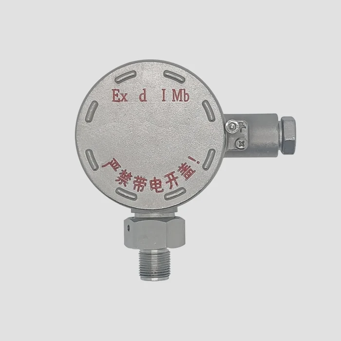 0-40MPa Pressure Transmitter Explosion Proof with 4-20mA Current Output