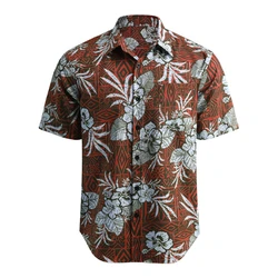 Camisa hawaiana de manga corta para hombre, camisa con solapa, patrón personalizado, impresión 3D, diario, Informal, Trabajo, vacaciones, diseño cómodo, Verano