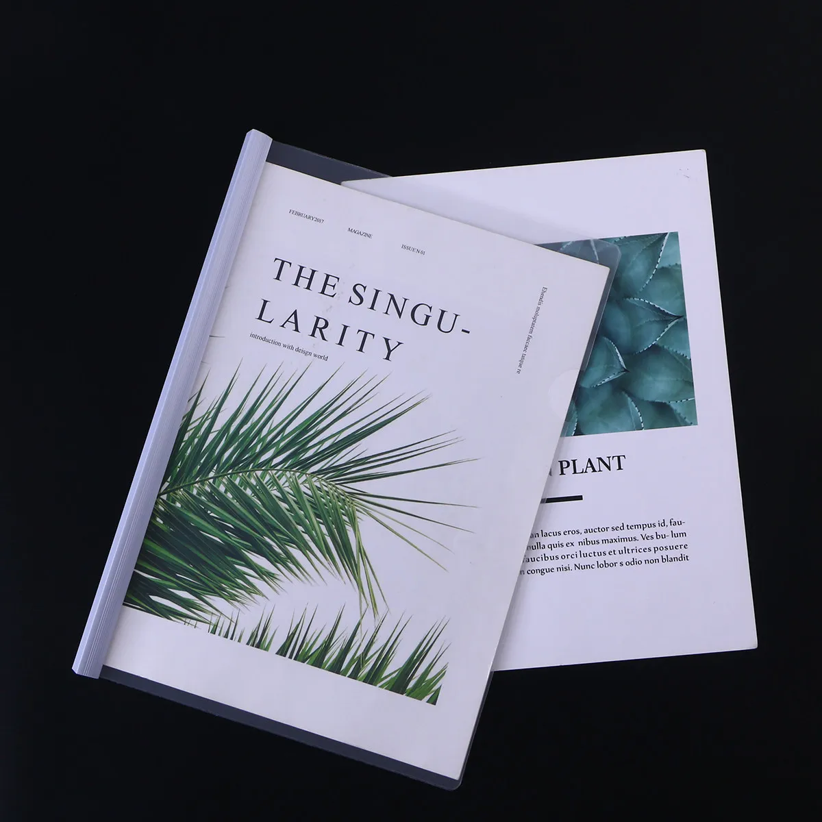 

Набор из 10 прозрачных папок-скоросшивателей с выдвижной планкой и нескользящей застежкой для документов формата А4, отчетов и бумаг, органайзер-дисплей