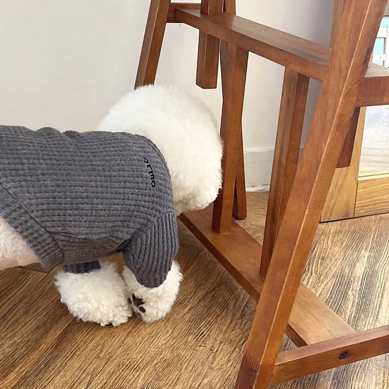 Teddy Waffle Bottomed Shirt Warm Pullover for Autumn than Bears Solid Color Two Legged Clothes for Poodles Beautiful Pet Clothes