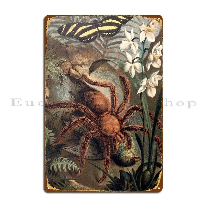 Crab Spider Vintage Illustration Geekimpact Metal Plaque Poster Design Designing Living Room Party Print Tin Sign Poster