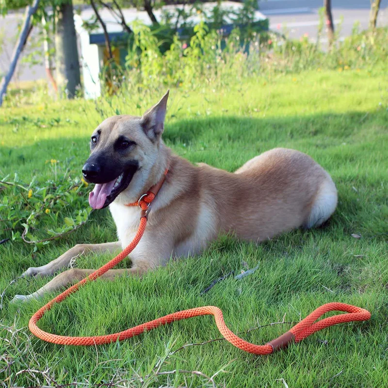 Dog Collar Durable Nylon Slip Rope Dog Leash Collar 2 In 1 Adjustable Loop Collar Comfortable Meidum Large Pet Harness Leashes