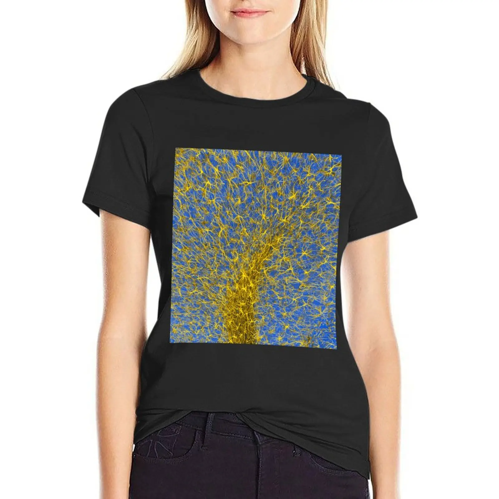 Glial cells, confocal light micrograph (C003/2266) T-Shirt customs quick drying blanks t-shirt dress for Women plus size sexy