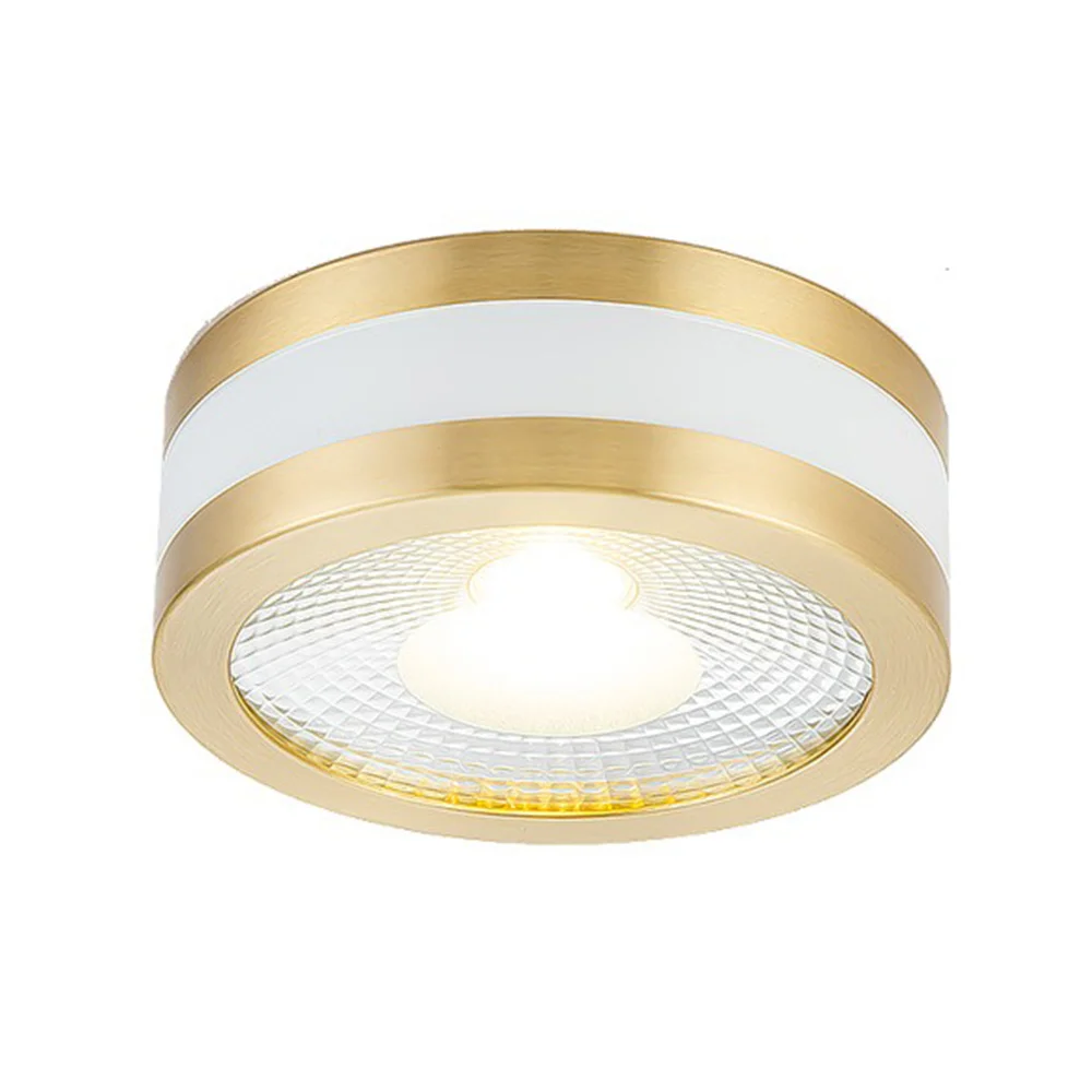 Copper Ultra-Thin Exposed Ceiling Light Led Cob 5W 7W 9W 12W 110V 220V Living Room Aisle Corridor Home Decoration Lamp Fixtures