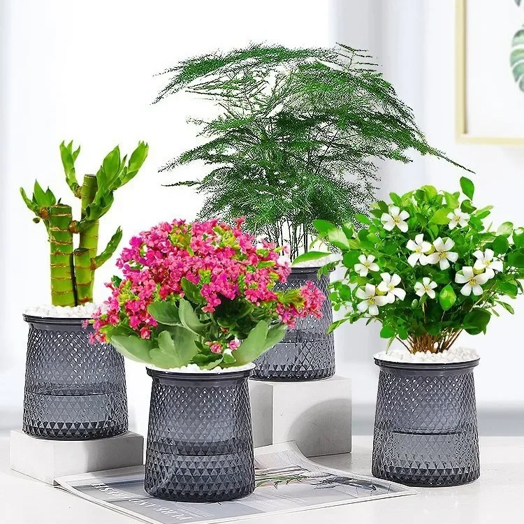 Self Watering Plastic Plant PotsTransparent Plastic Flower Vase Automatic Lazy Potted Flower Pot Hydroponic Flowerpot Decor