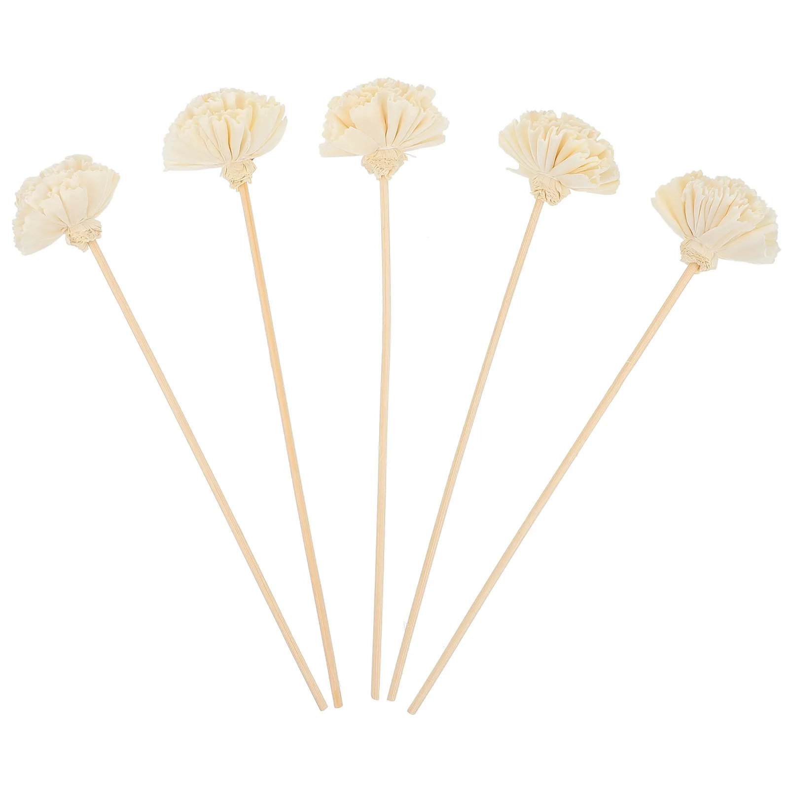 

5Pcs Natural Dried Flower Aromatherapy Accessories Beige Rattan Sticks for Home Decor Fragrance Diffuser DIY Perfume
