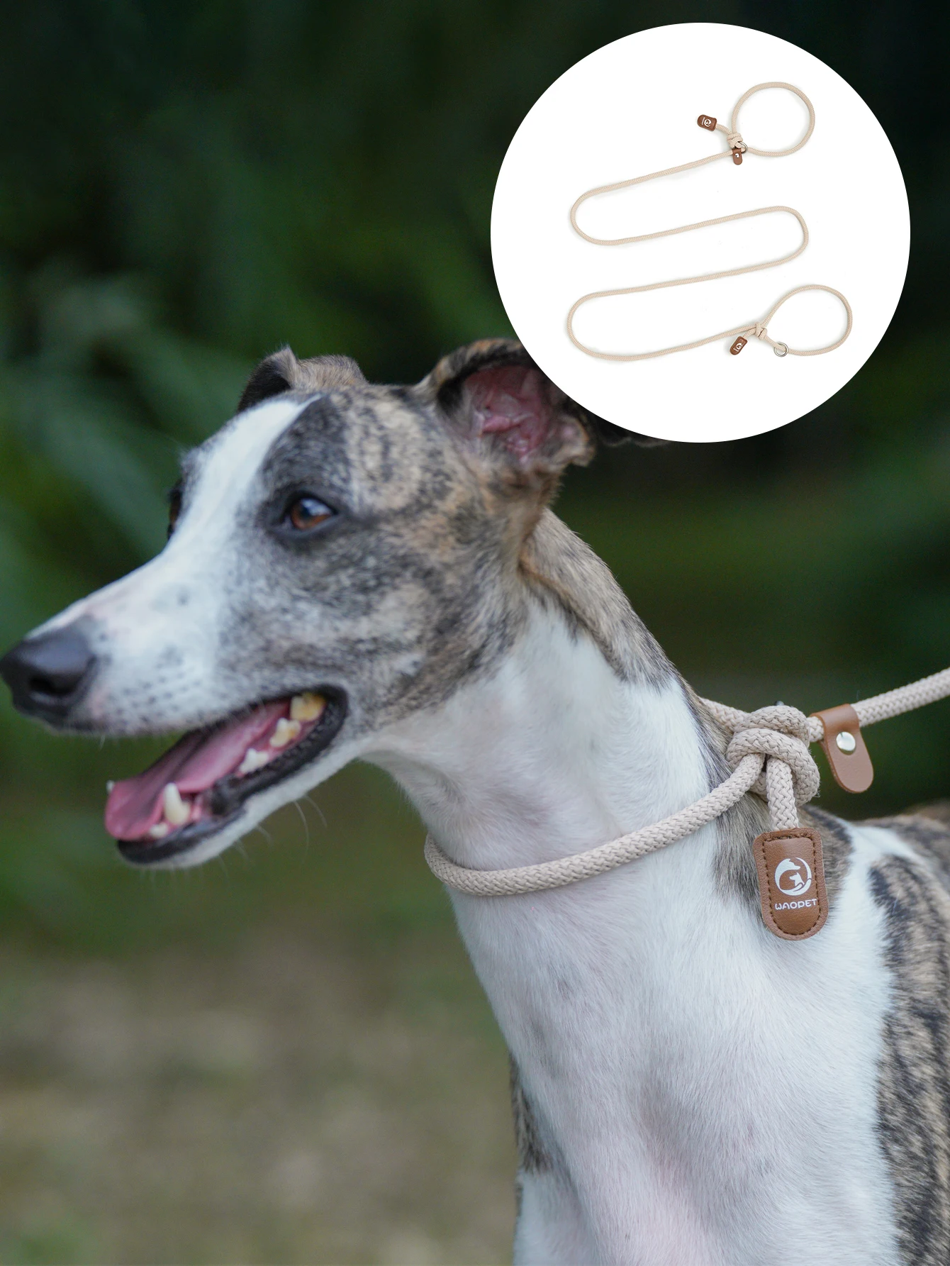 Kleine Hundeleine, multifunktionales Haustierhalsband, Leine, Seil, Taille, Umhängeleinen, Hundegehübung, Laufen, einfache Kontrolle – Detail 10