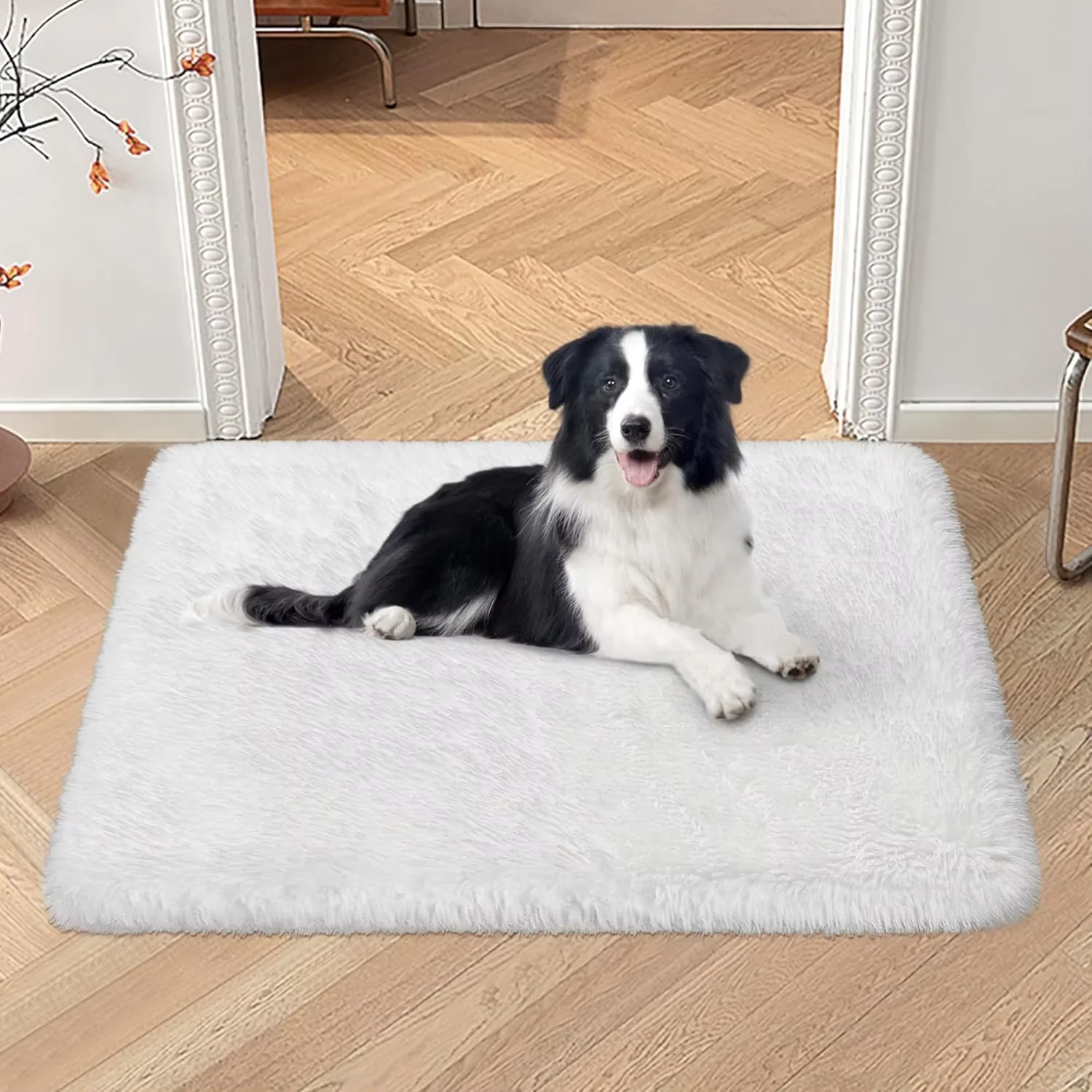 Karpet Sutra Dan Wol VIKAMA Le - Pet Supplies Dog Wash ulasan dan harga