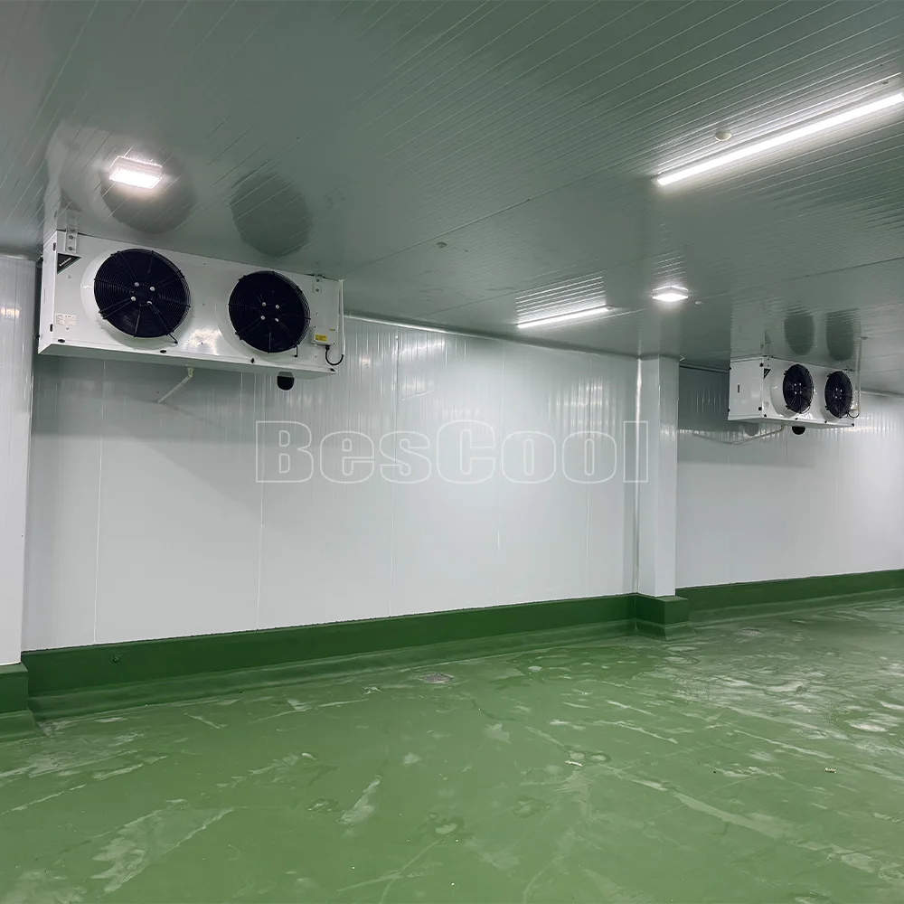 Vendita calda Congelatore a bassa temperatura Camminata nel congelatore Sala commerciale per celle frigorifere per vendita al dettaglio e in negozio