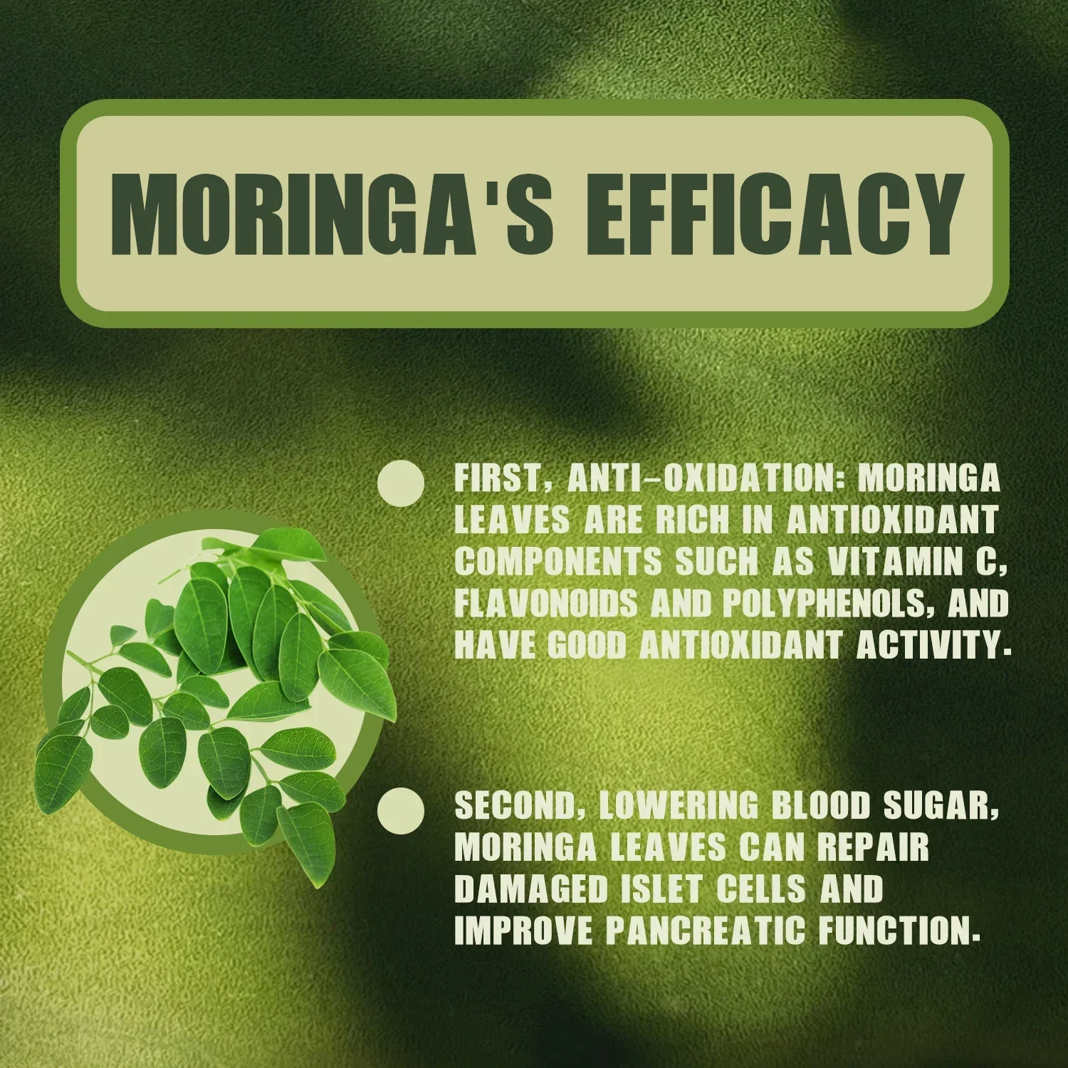 Moringa Capsules - Extra Potency 50:1 Extract Energizing Antioxidant, Cardiac Care, Cell Repair