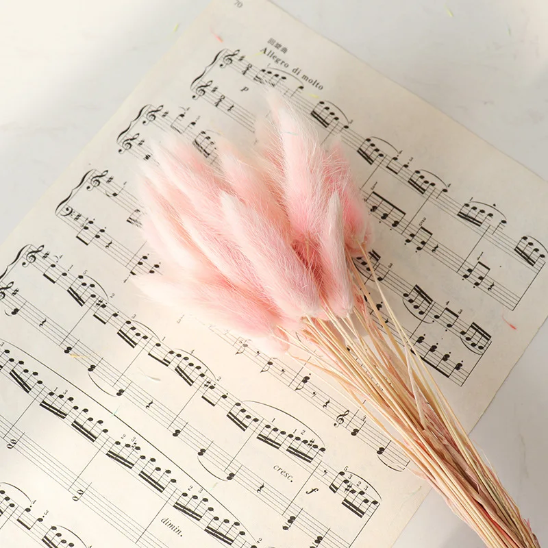 30pcs Real Natural Floral Dried Flowers Bunny Rabbit Tail Grass Mixed Bouquet Colorful Lagurus Ovatus for Wedding Decoration