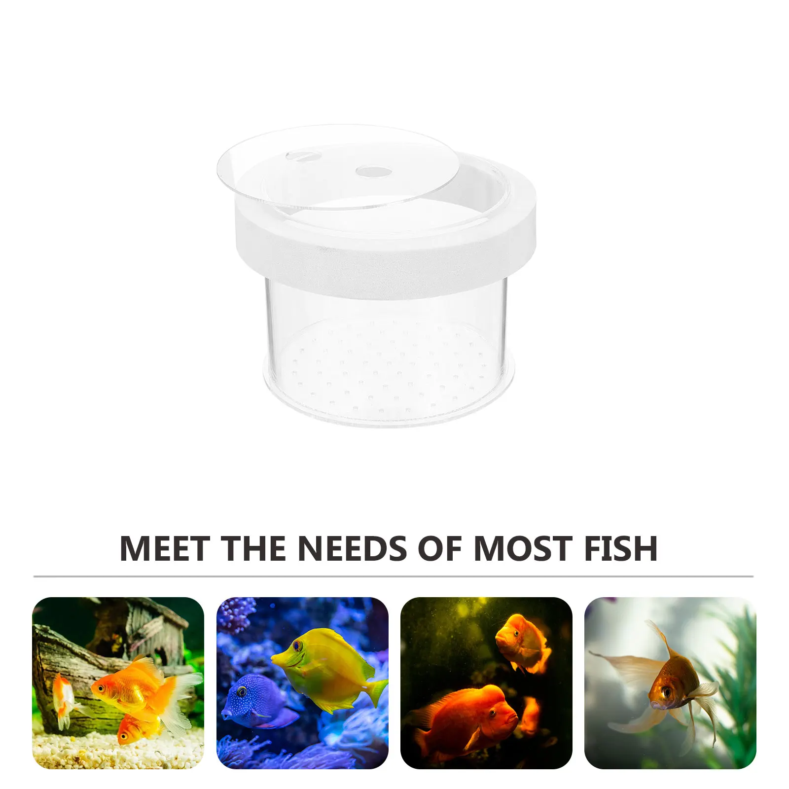 

Suspended Isolation Box Acrylic Fish Tank Separator Floating Design Aquarium Breeding Egg Incubator Small Baby Fish Hatching Box