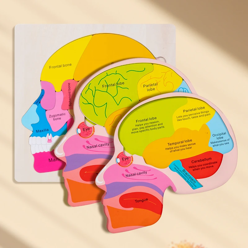 Brain Wooden Toddler Puzzles for Kids, Three-layer Exploration Wooden Toys, Intelligence Brain Teasers Toy Logic Game