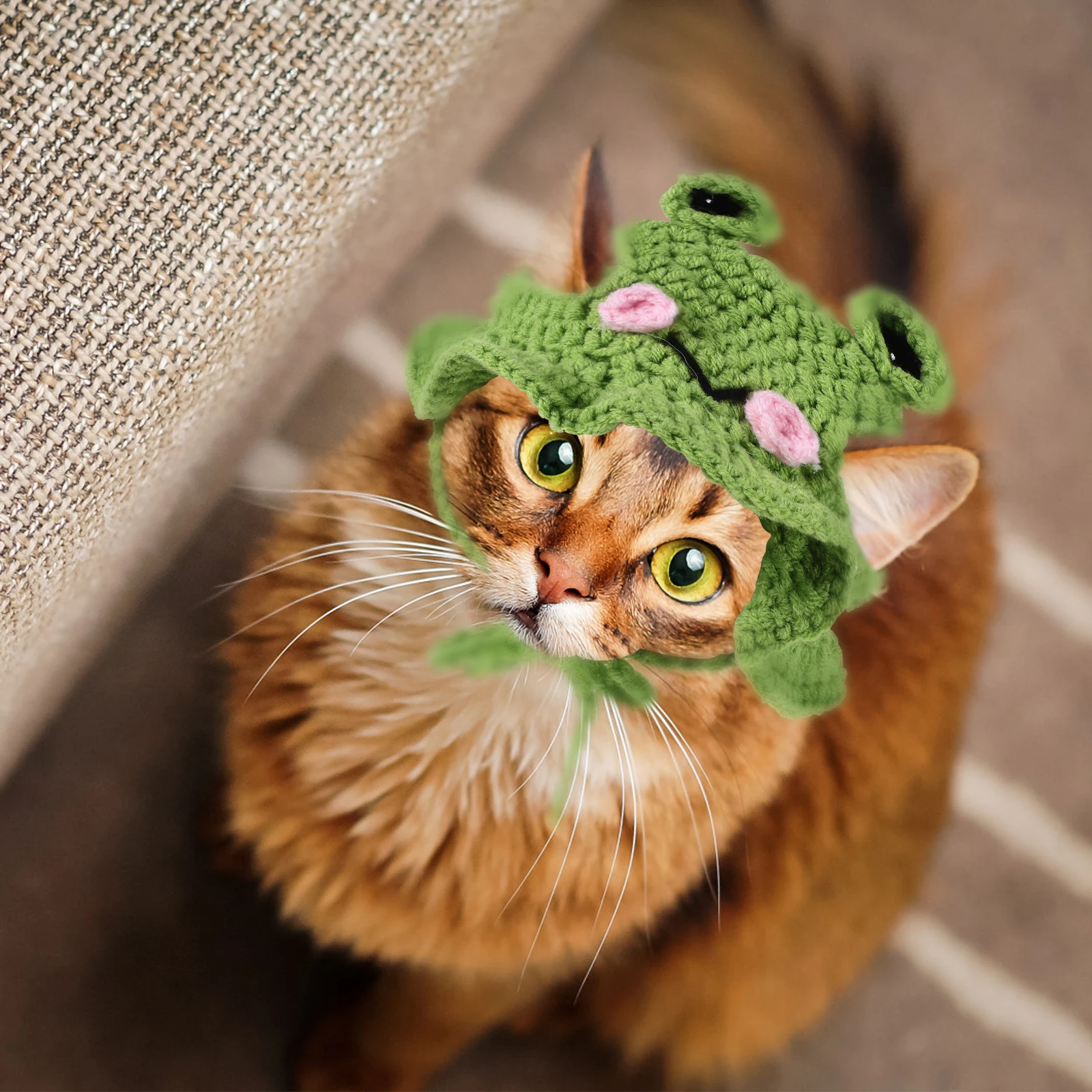

Frog Hat Pet Party Headwear Halloween Cat Accessories Hats Yarn Kitten Knitted Dog