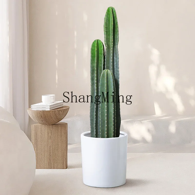 LXY Indoor Potted Plants Living Room Large Green Plants Office Cactus Succulent