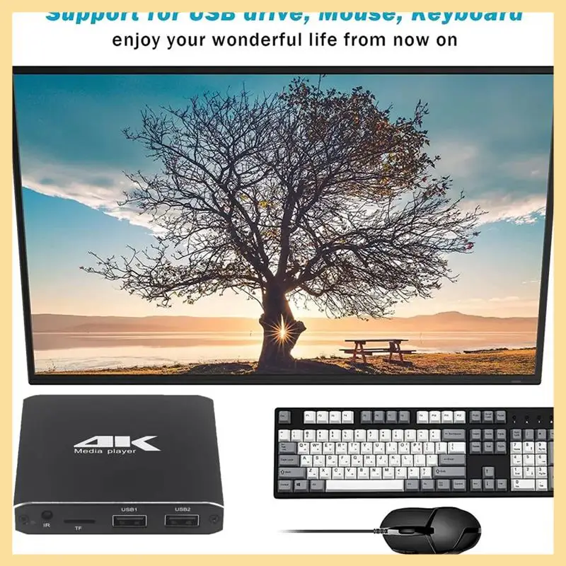 

B16C-Mini 4K H.265 Advertising Player Media Player Support TF Card USB Disk 1080P Full HD Multimedia HDD Player EU PLUG