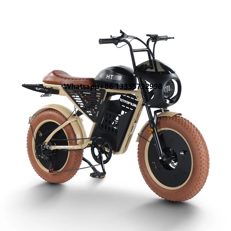 

Hot Selling 750W Electric Bike 20 Inch Fat Tire Mountain Road Ebike Sport City Mountain Bike for Adults