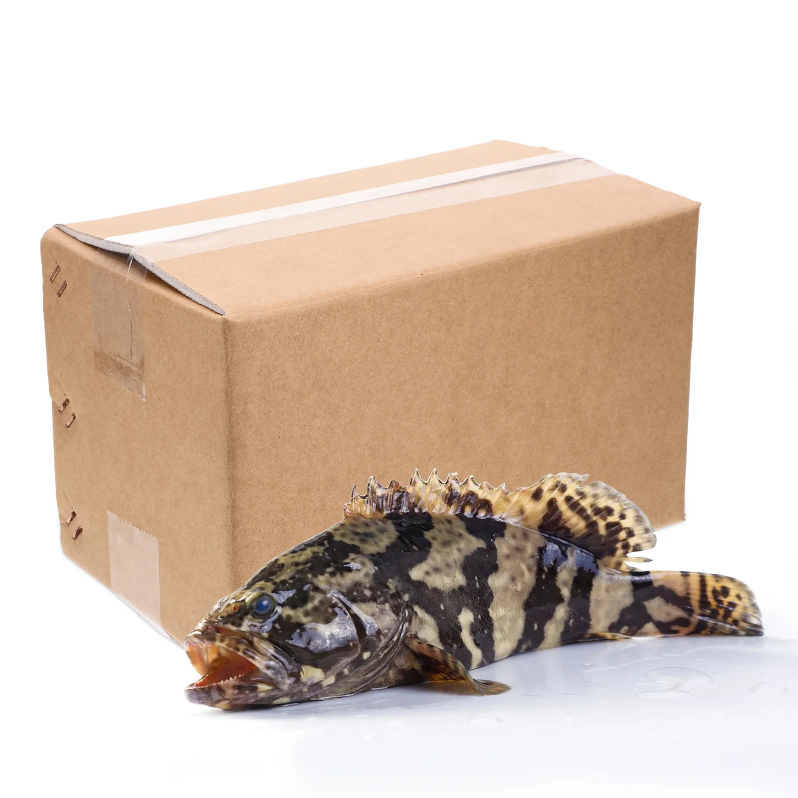 

2pcs Reusable Insulated Shipping Box Foil Cooler Carton For Freezer Seafood Cold Food Mailing Thermal Packaging Container