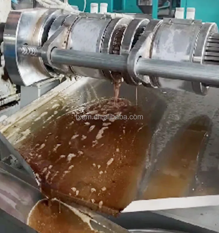 TX متعددة الوظائف النفط الصحافة طارد جوز الهند عباد الشمس الفول السوداني بذور اللفت كعكة آلة استخراج الزيت آلة الضغط البارد والساخن #6