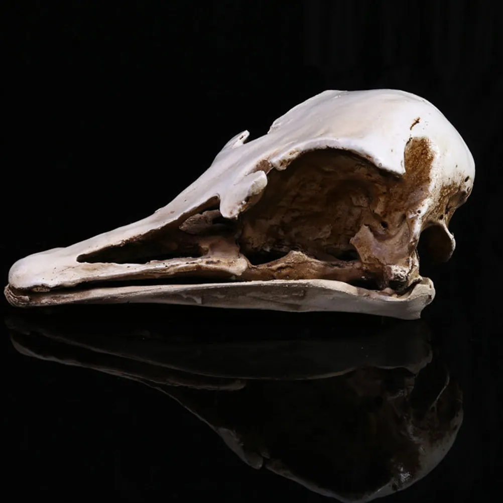 1-piece-crane-d'autruche-realiste-decoration-animale-en-resine-robuste-pour-maison-hantee-fete-et-aquarium-tete-securisee