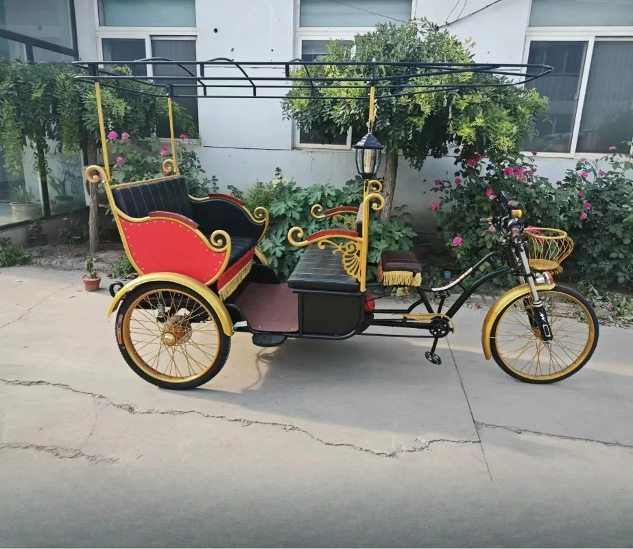 Tourist bicycle tricycle Sightseeing tricycle, tourist attractions Pickup car