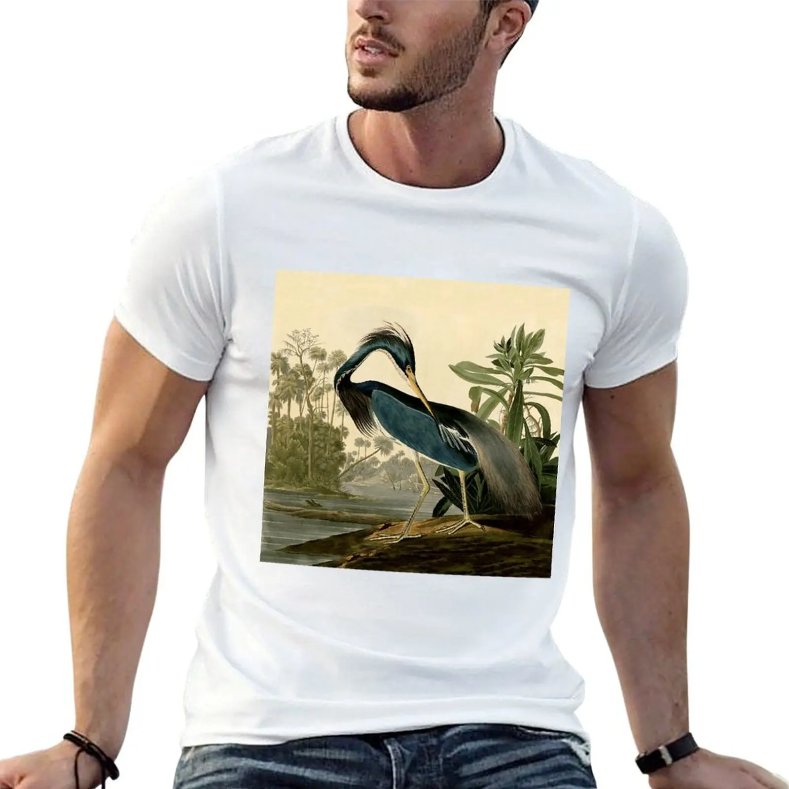 

Audubon Bird Louisiana Heron Antique Art T-Shirt funny t shirts dark humor man t shirt summer t shirt man plain T-shirt