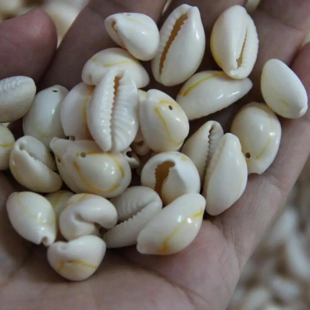 100Pcs Pendant Necklace Shell Cowry with Gap DIY Bracelet Necklace Anklet Ornament Jewelry Making