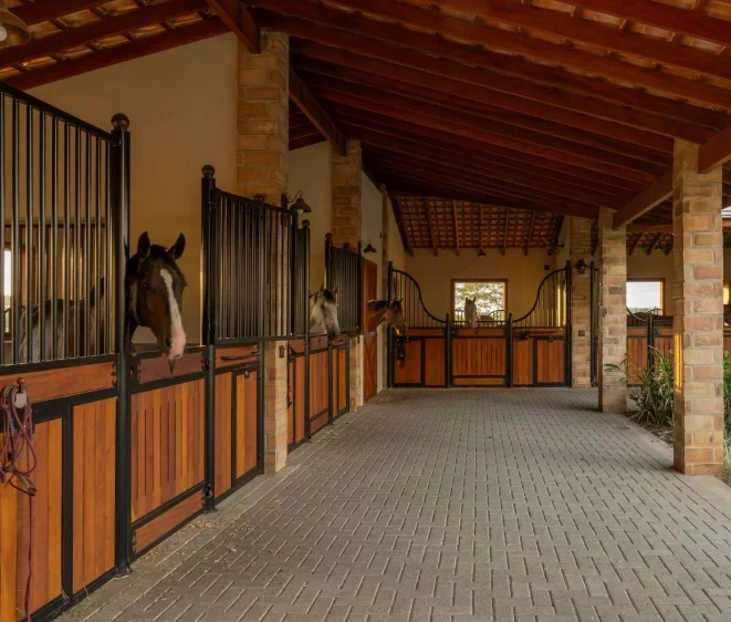 Stables for sale in China Customized size and color styles to meet the needs of horse breeding Safe shed for horses