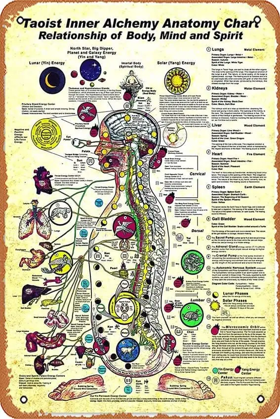 Wall Decor Sign - Taoist Inner Anatomy Chart Relationship Of Body Mind And Spirit Poster Metal tin sign retro sign 8X12Inch