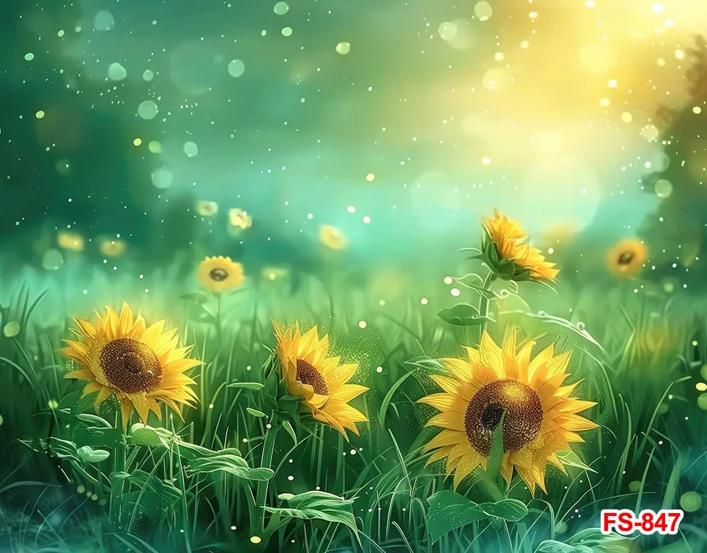 لامعة ضوء البوكيه خلفيات فوتوغرافية ، خلفيات طبيعية الدعائم ، أشعة الشمس ، الصيف ، الريف ، الأصفر ، عباد الشمس ، ورقة ، المناظر الطبيعية