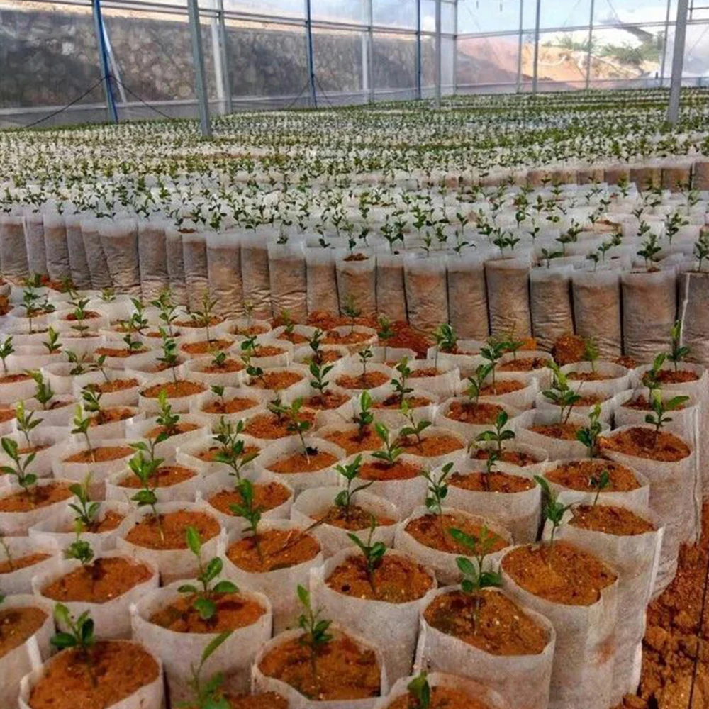 50-100 peças biodegradável saco de cultivo de viveiro de plantas não tecido pote recipiente de mudas para flor vegetal bolsa pequena a grande