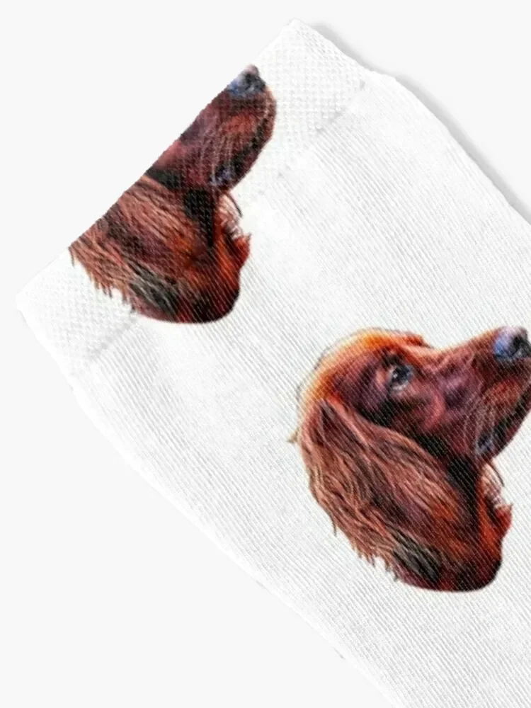 Irish Setter Dog Socks professional running men cotton high quality Woman Socks Men's