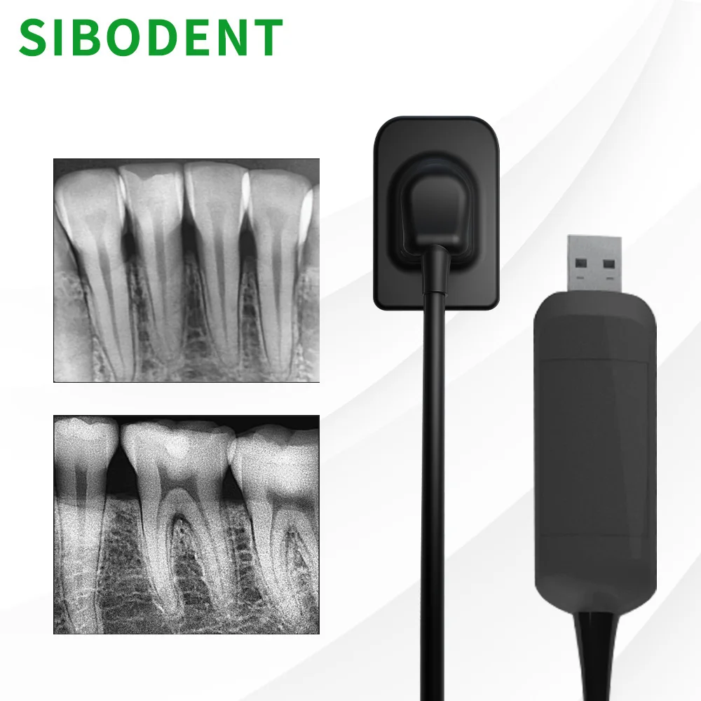 

SIBODENT Стоматологический датчик Рентгеновский высокочастотный Rx Цифровая внутриротовая цифровая система H D Image Стоматологический рентгеновский датчик Стоматологические инструменты