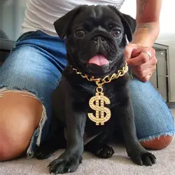 43cm Luxury Dog Gold Necklace Dollars Metal Chain Collar Pet Accessories Dog Supplies