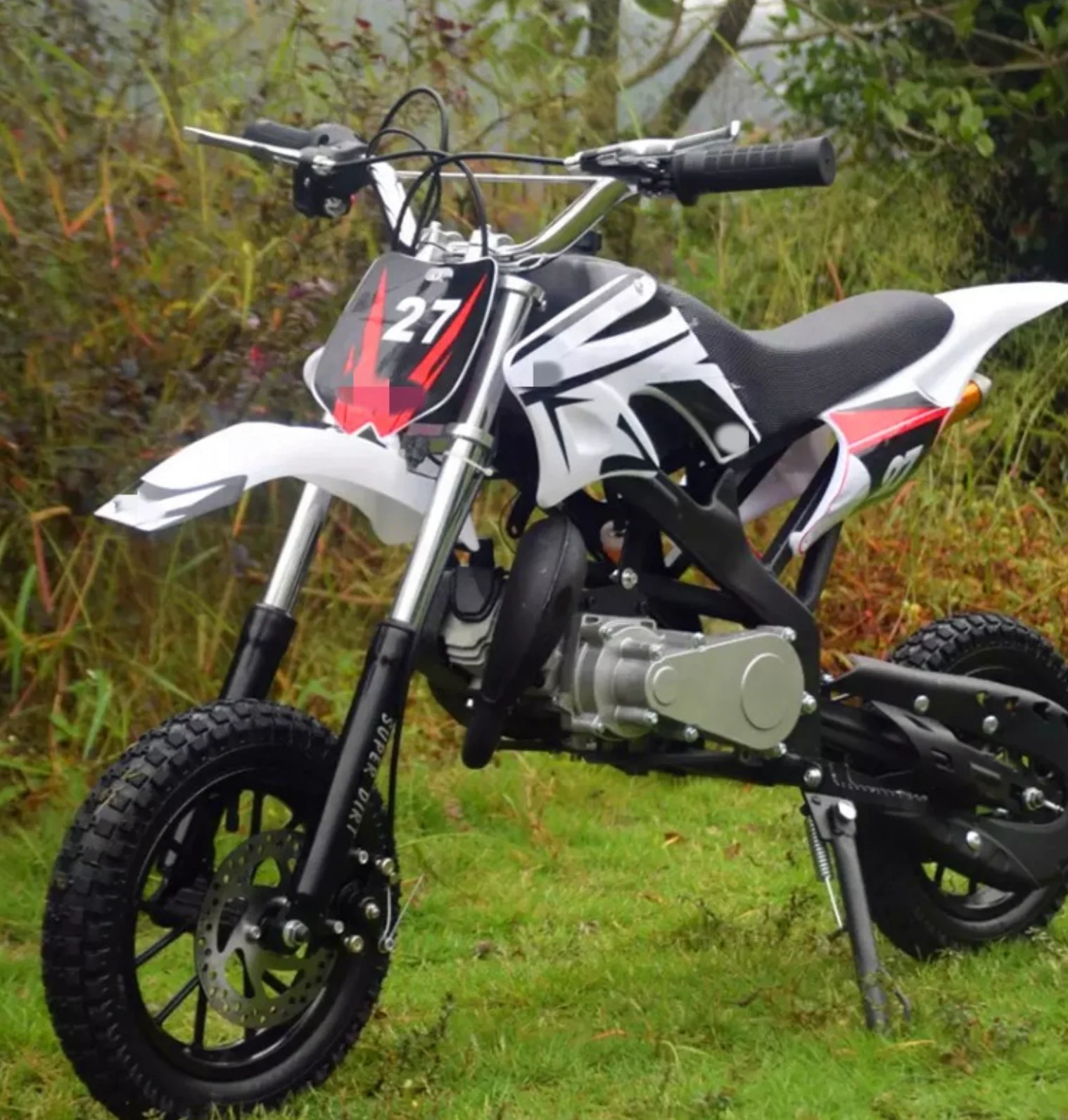 Hot Sale CE Certified 49cc Single-Cylinder Mini Dirt Bike for Kids Hand-Pull Start 2-Stroke Off-Road Motorcycle Air Cooled