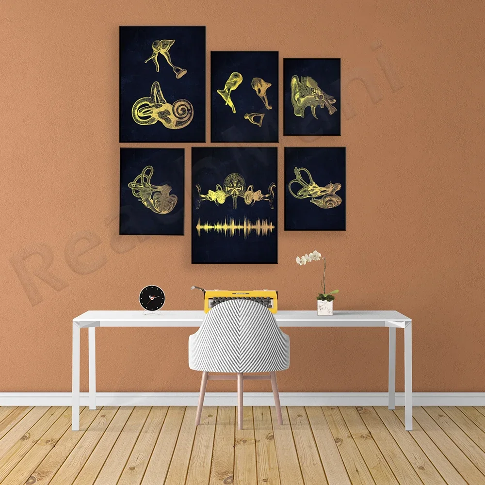 Human Ear Anatomy Art Poster - Hearing System Structure with Coclea Ossicles Ear Drum Detail Ideal for Audiologist Office Decor