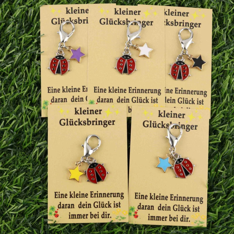 5pcs Interesting Ladybug and Star Keychain Set Belt“Little lucky charm”Good Luck Card  The best choice for gifts to family and f