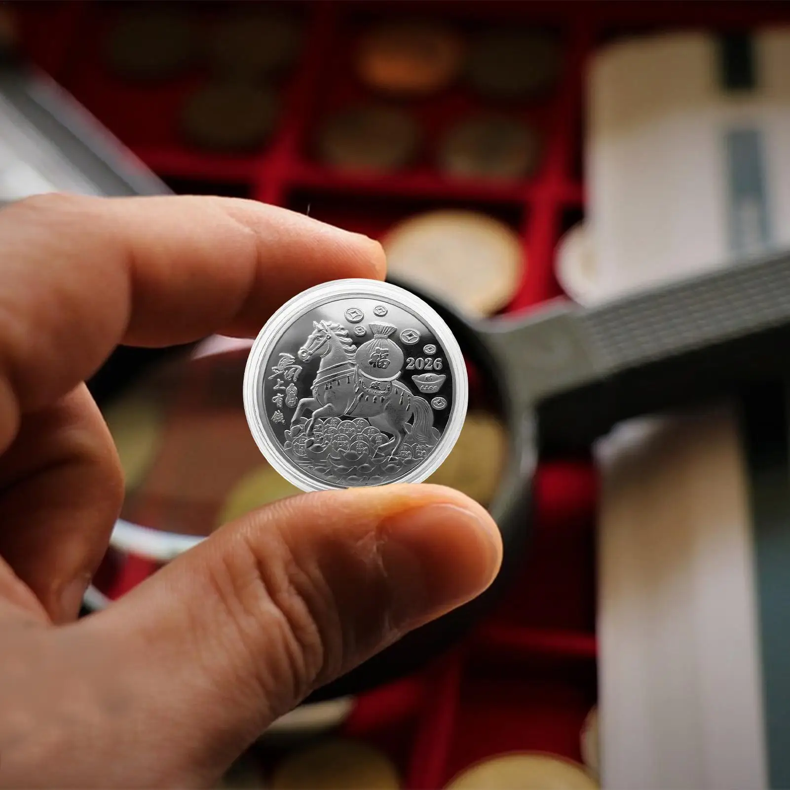 Collector Coin Chinese New Year Horse Coin Collection Souvenir Year of the Horse Collector Art Display Decor for Women Kids