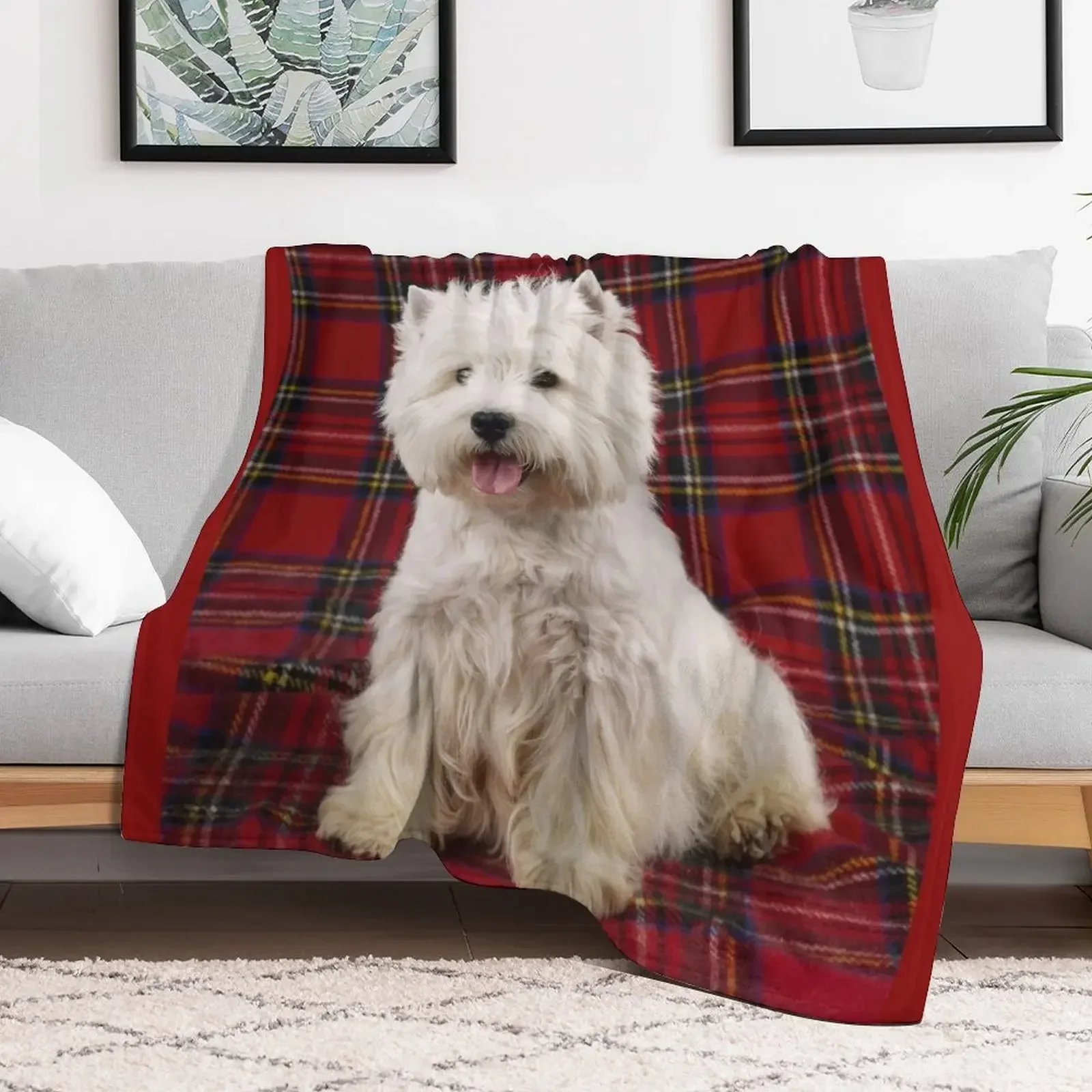 

West Highland White Terrier on a Scotch Plaid Throw Blanket Beach Cute Soft Beds Camping Blankets Softest Moving Blankets