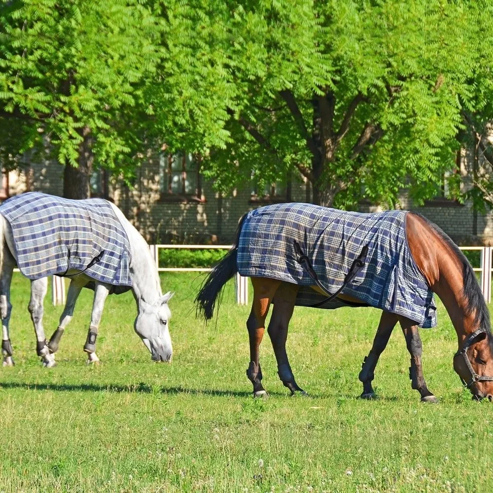 Sangles extensibles pour couverture de cheval, Clips à Double extrémité, sangles élastiques pour jambes, utilisation équine, sangle arrière réglable